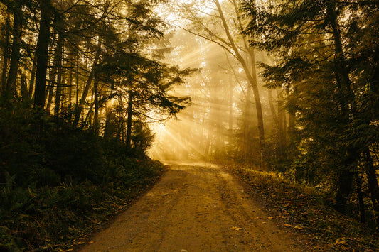 Finding Your North Star The Importance of Purpose in Life
