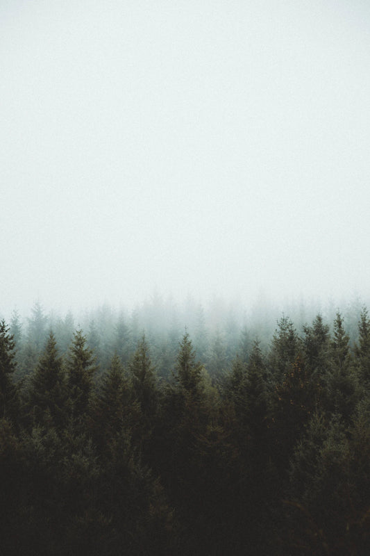The Impact of Climate on Healthy Aging
