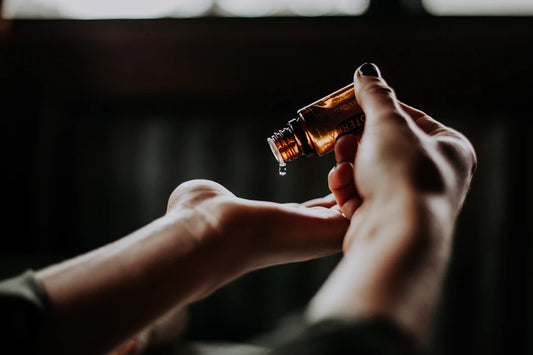The Transformative Power of Sleep for Healthy Aging