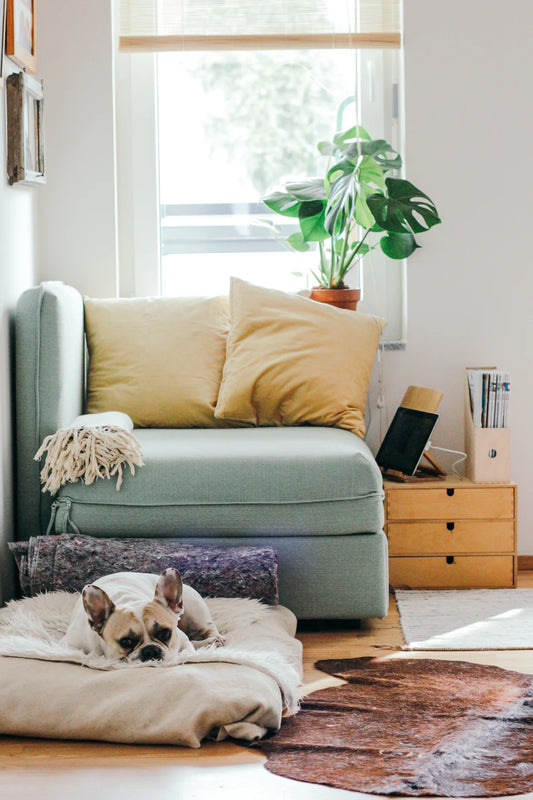 Fostering a Supportive Living Environment