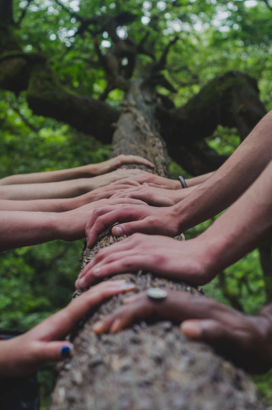 Building Your Tribe The Art of Creating a Supportive Network for Healthy Aging