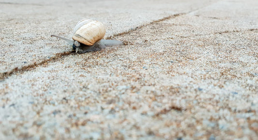 Mastering Resilience Thriving Through Life’s Changes