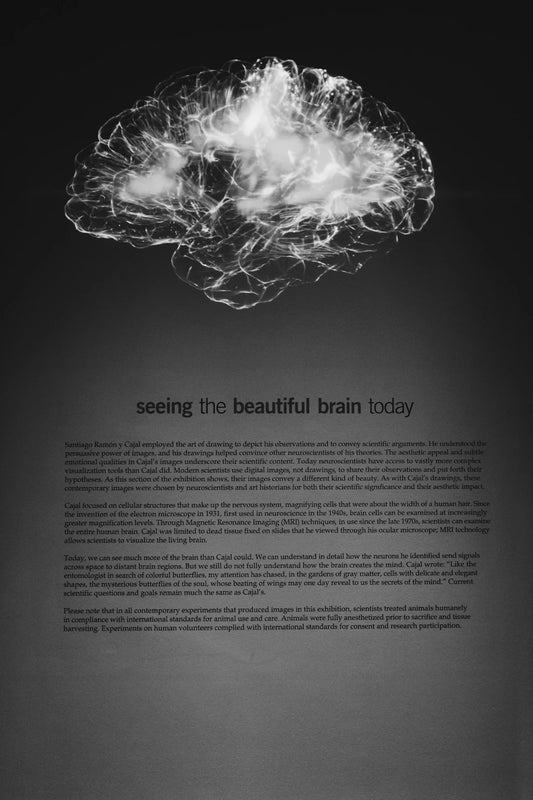Cognitive Health Keep Your Mind Sharp Naturally