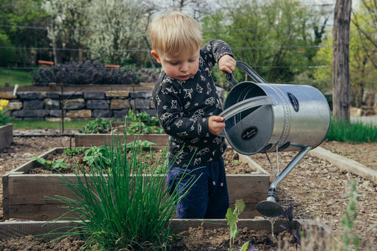 Gardening for Seniors A Path to Wellness and Serenity