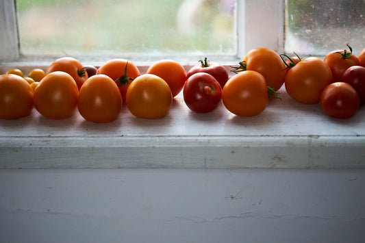 Gardening and Nature The Secret to Healthy Aging