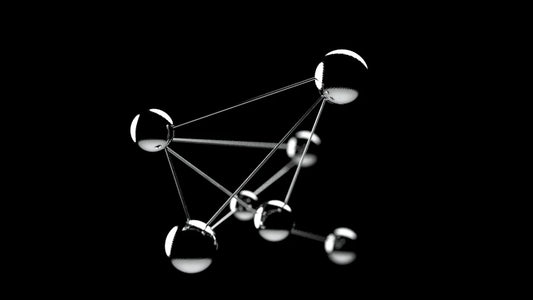 Social Connections How to Build a Support Network
