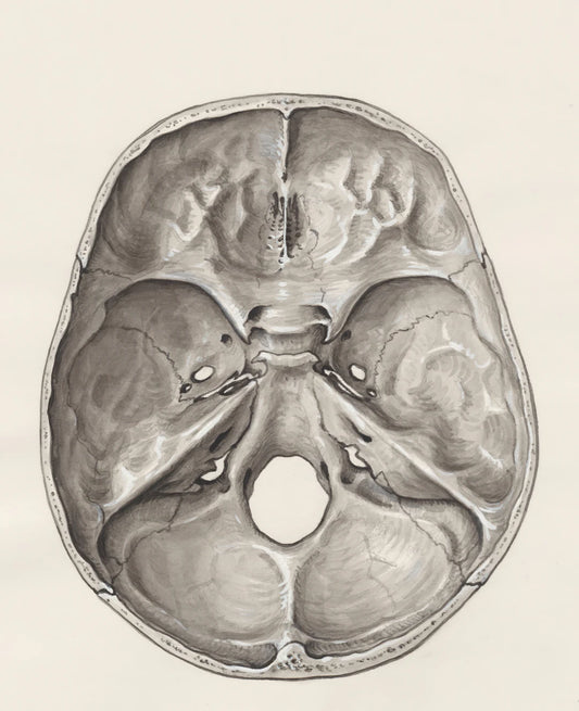 Boosting Cognitive Health Fun Mind Exercises