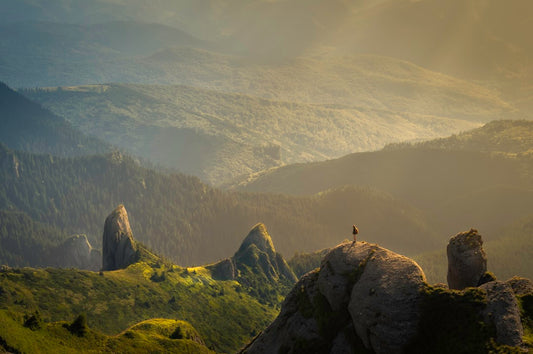 Unlocking the Secret to a Longer Life: Reducing Stress