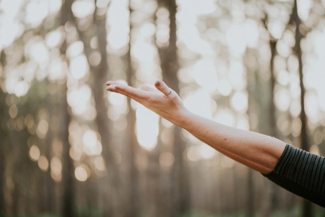 Embrace Aging Holistic Paths to Wellness and Vitality