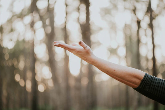 Embrace Aging Holistic Paths to Wellness and Vitality