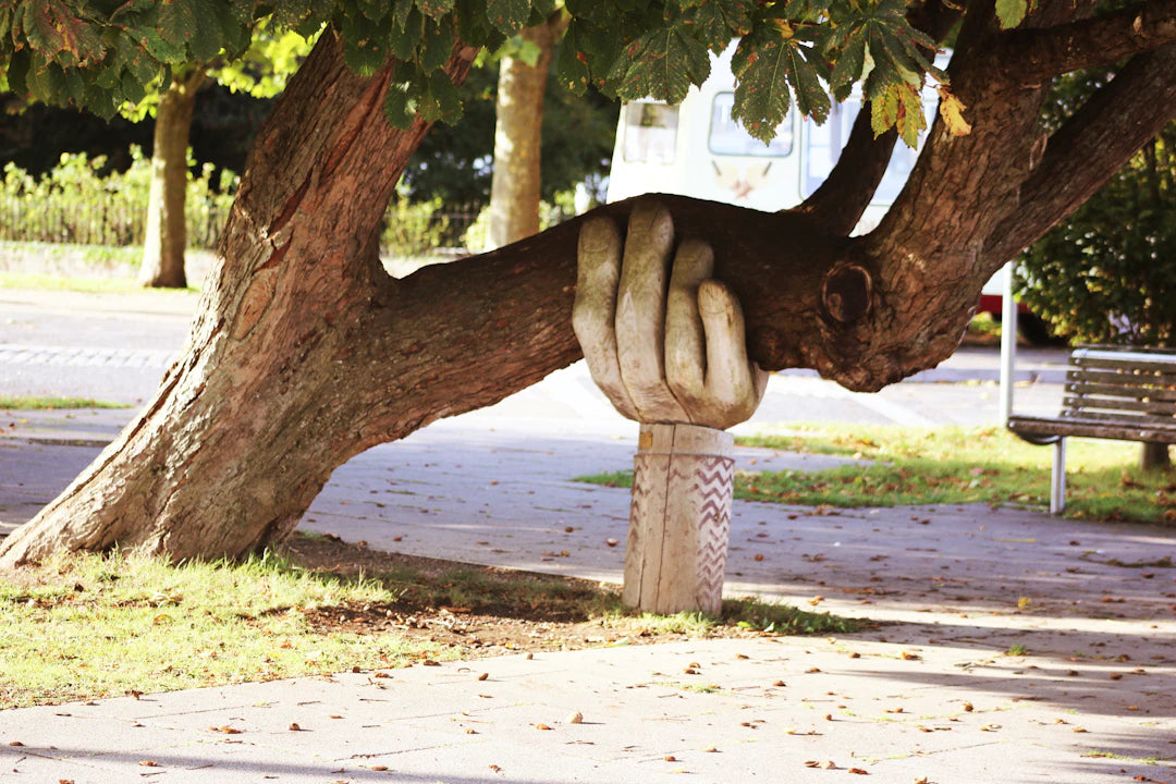 Finding Peace Navigating Loss and Grief in Later Life