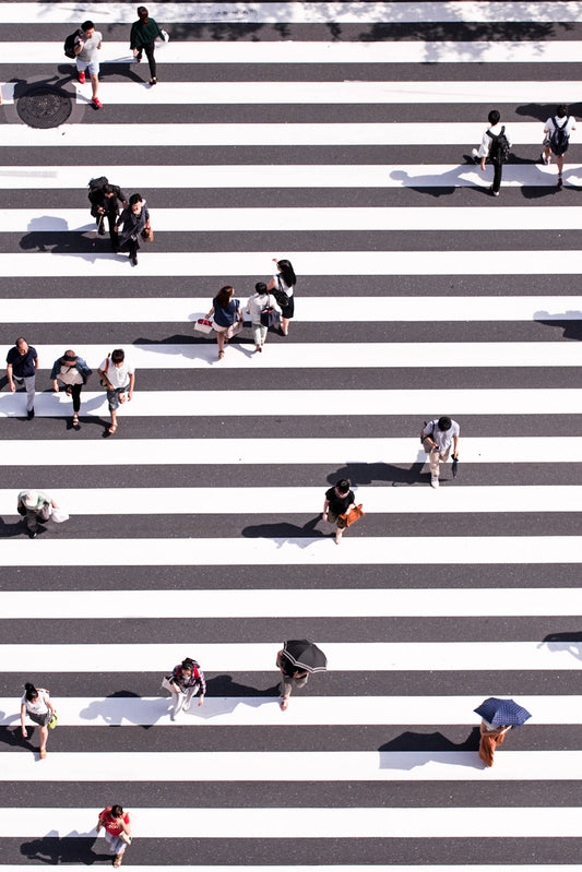 Cultivating Social Connections The Key to Longevity