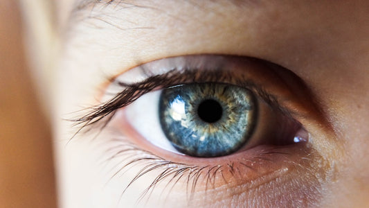 Seeing Clearly: How to Protect Your Eyesight as You Age