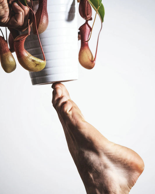 Nutrition Essentials for Seniors Thrive in Your Golden Years