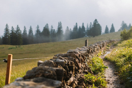 Stay Active and Engaged: Exciting Hobbies and Activities to Explore