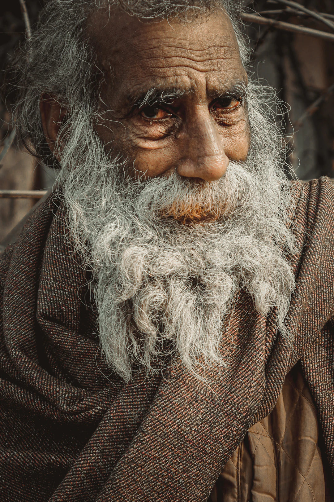 Nutritional Needs for Older Adults A Complete Guide