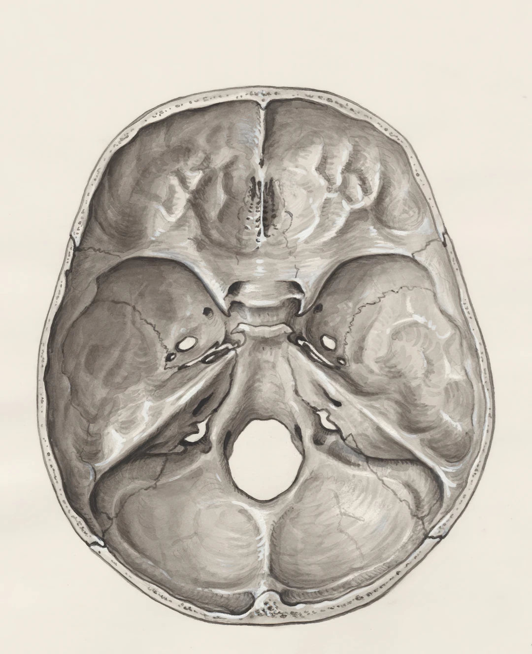 Boosting Cognitive Health Fun Mind Exercises